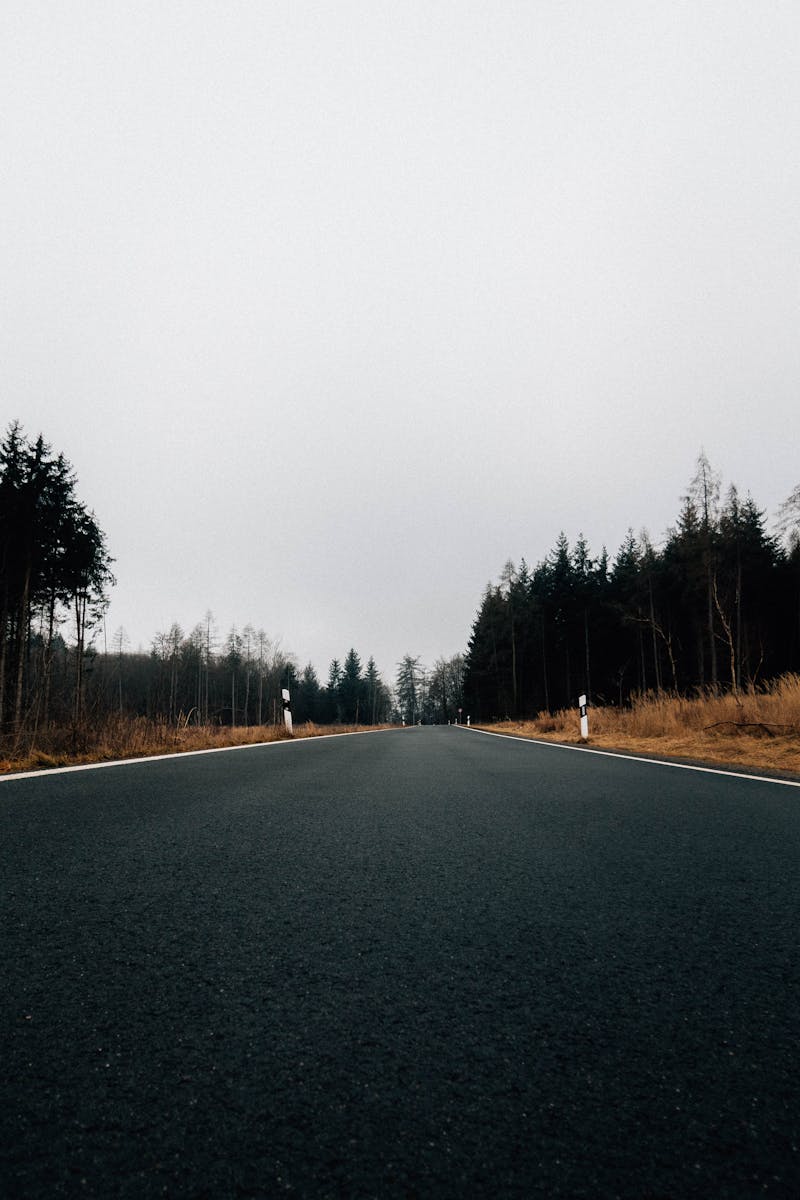 Asphalt Paving Services