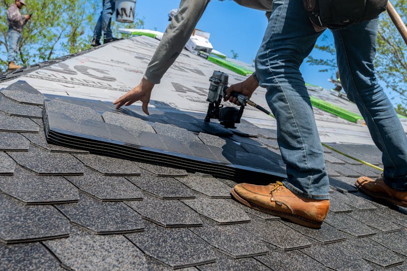 Professional Roofing Services